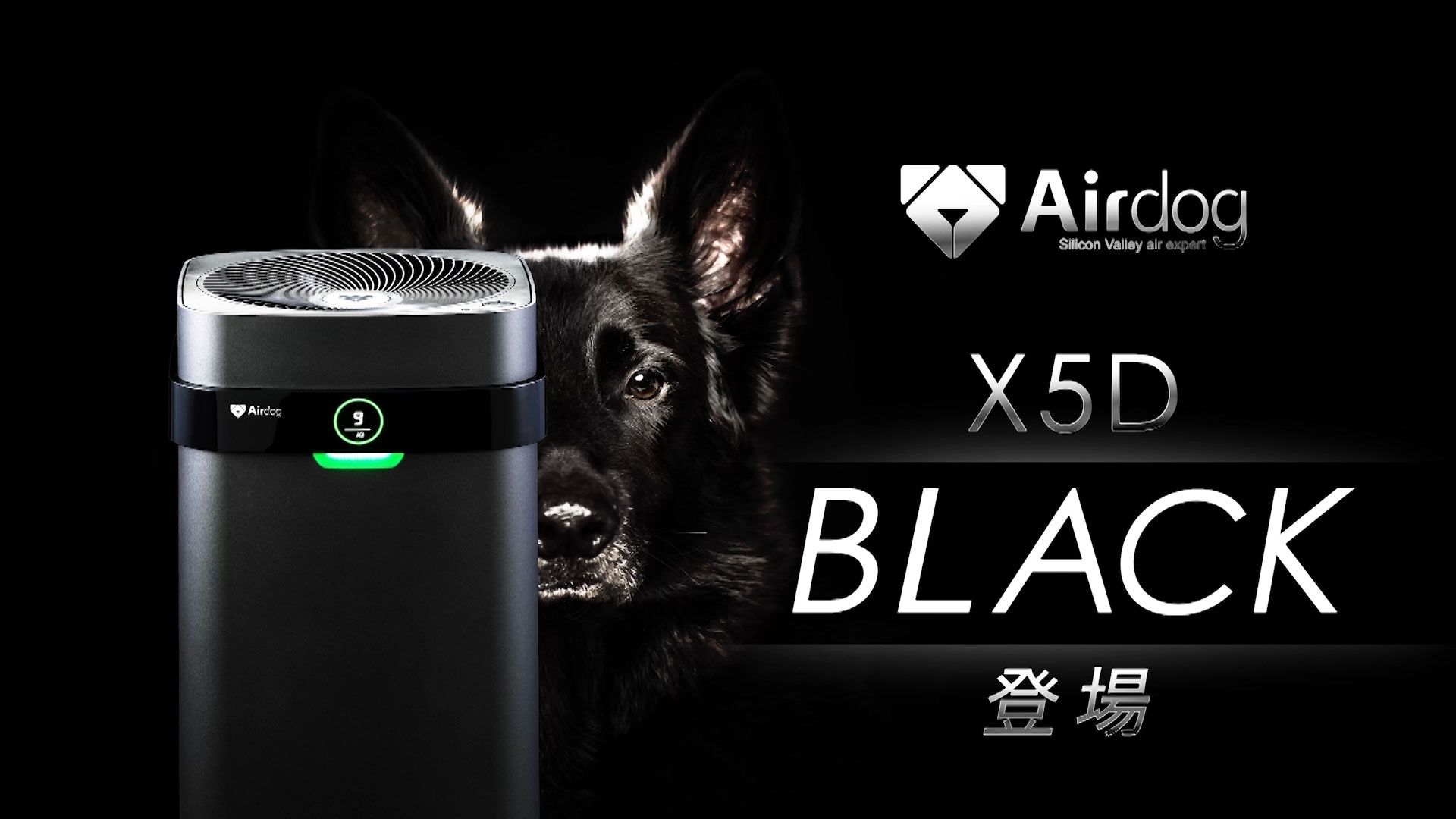 お買得限定品☆夏売れ筋 Airdog(エアドッグ) 最新モデル【X5D】 - 通販