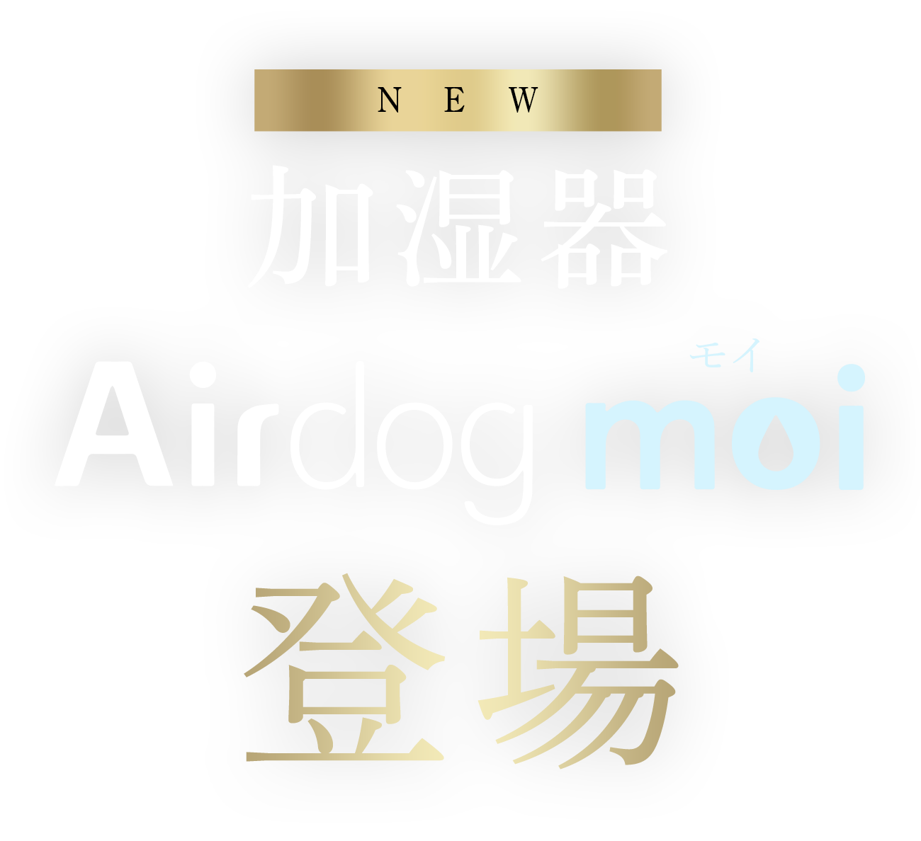 公式】Airdog moi | 高性能加湿器エアドッグから登場